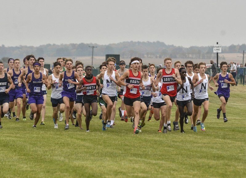 Northview teams, Gnister Grant, Gambill triumphant in cross country sectional
